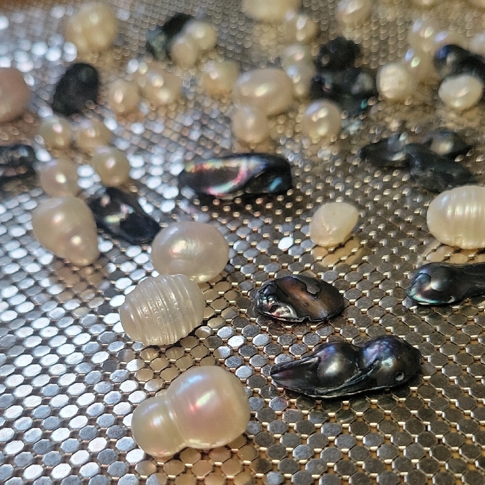 Abalone Sea Snail Pearls & Wild Paua Pearls